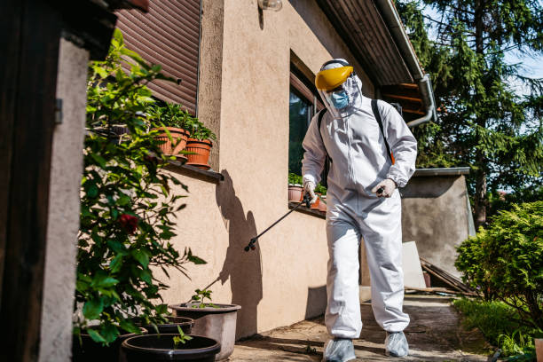 Best Local Pest Control Services  in Cedar Rapids, IA