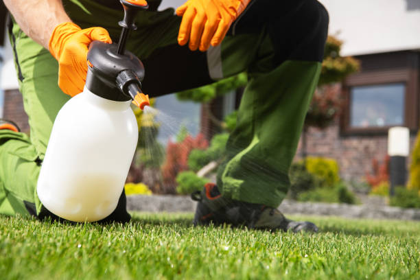 Best Wildlife Control Services  in Cedar Rapids, IA