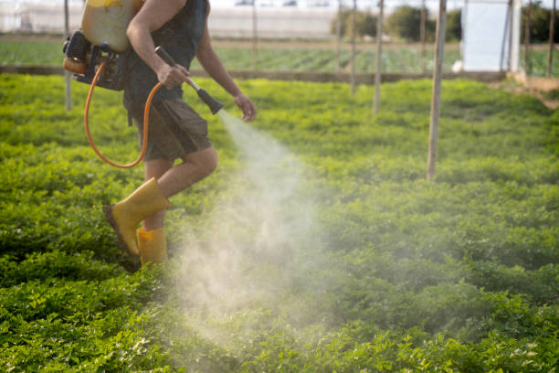 Reliable Cedar Rapids, IA Pest Control Solutions
