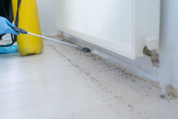 Best Exterminator Services  in Cedar Rapids, IA