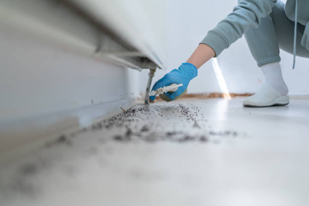 Insect Control in Cedar Rapids, IA