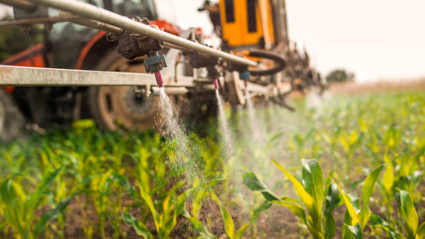 Best Commercial Pest Control Services  in Cedar Rapids, IA